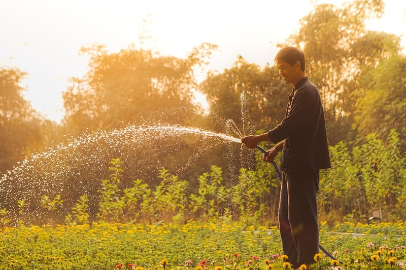 Eco-conscious Gardening