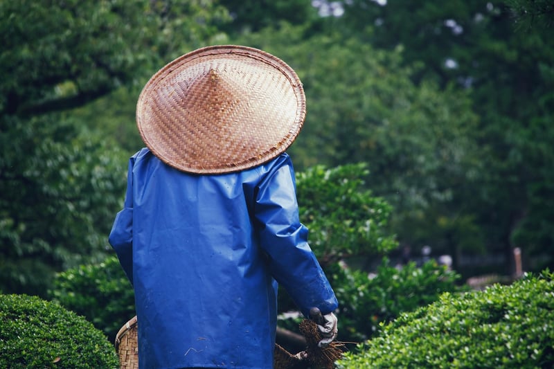 Gardening Together